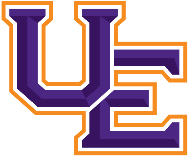 Evansville Purple Aces 2019-Pres Primary Logo iron on transfers for clothing